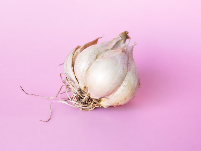 A photograph of a garlic bulb