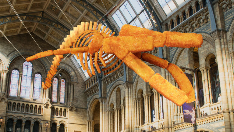 Oversized fish fingers replacing the skeleton of a blue whale hanging in the entrance hall of the Natural History Museum in London